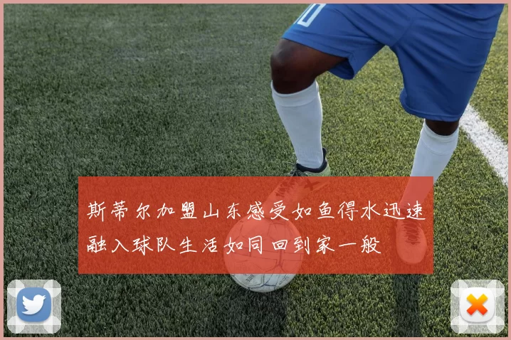 斯蒂尔加盟山东感受如鱼得水迅速融入球队生活如同回到家一般